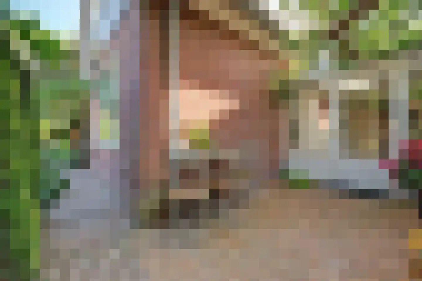 Kennedysingel 6 Winssen thumbnail 30