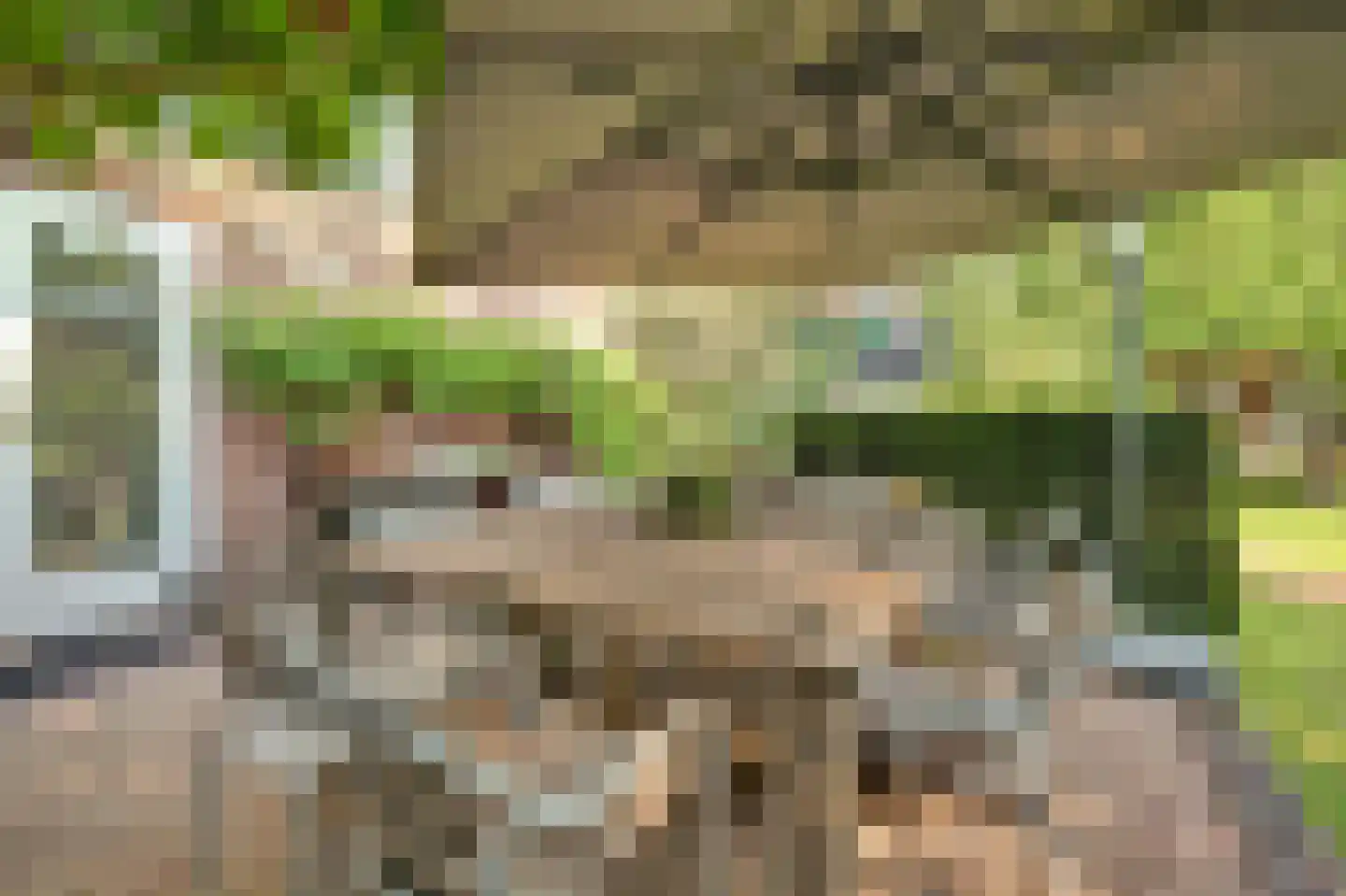 Kennedysingel 6 Winssen thumbnail 31