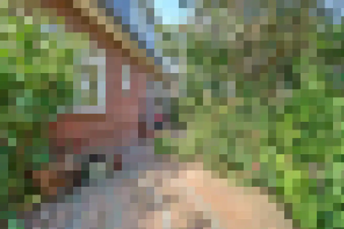 Kennedysingel 6 Winssen thumbnail 33