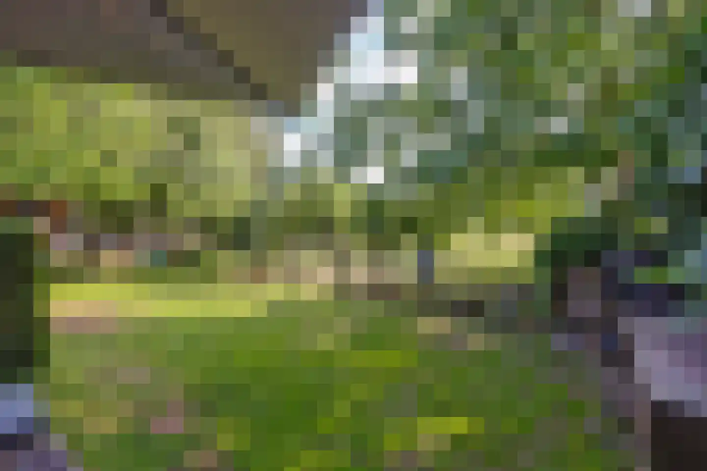 Kennedysingel 6 Winssen thumbnail 34
