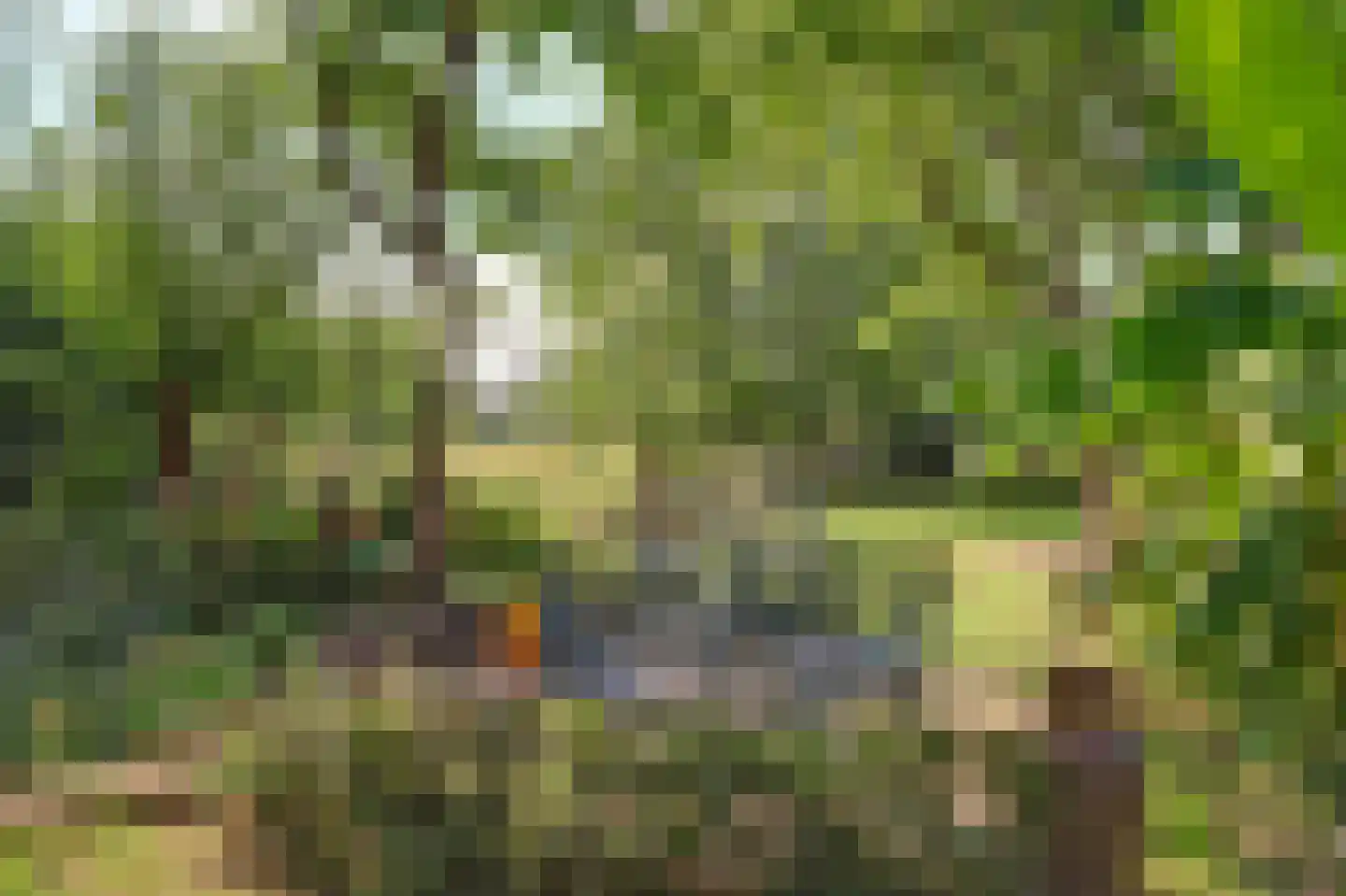 Kennedysingel 6 Winssen thumbnail 38