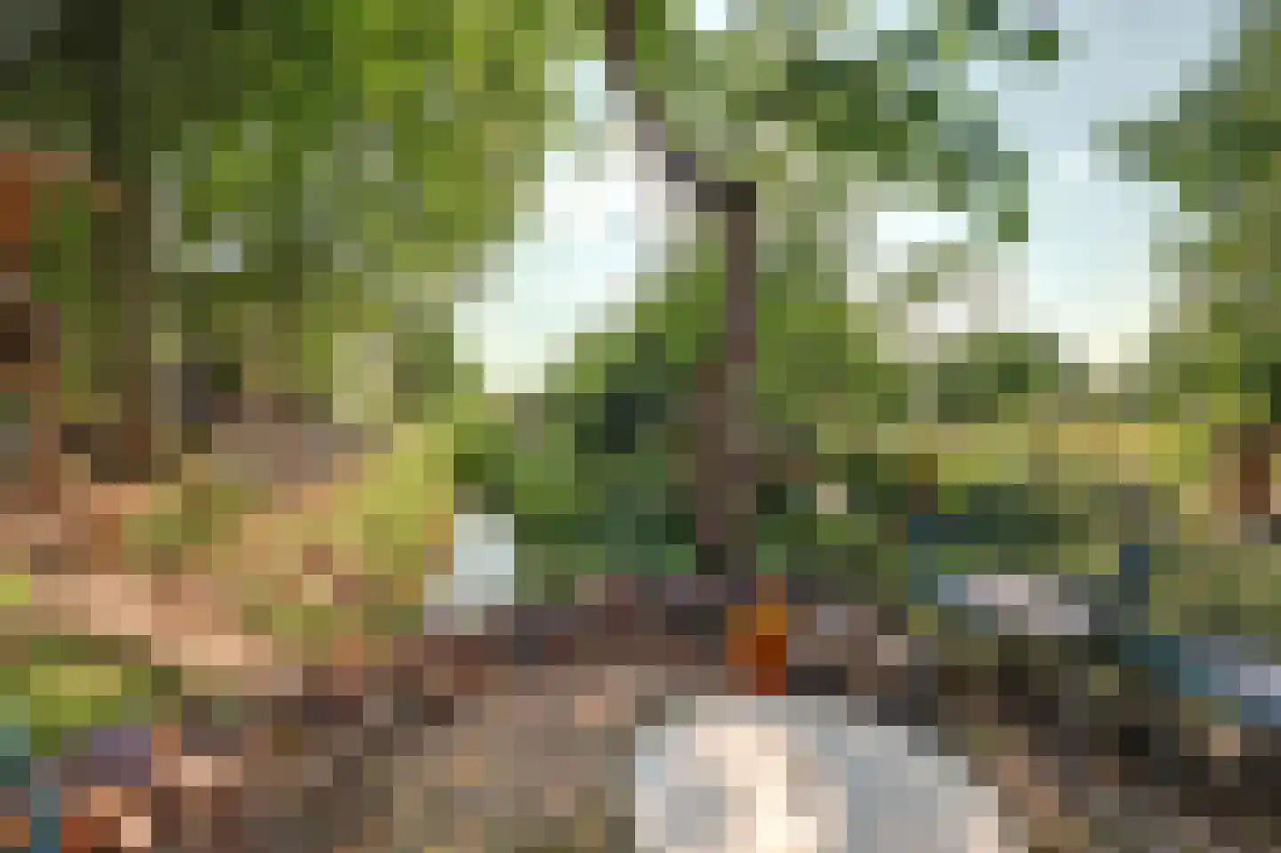 Kennedysingel 6 Winssen thumbnail 39