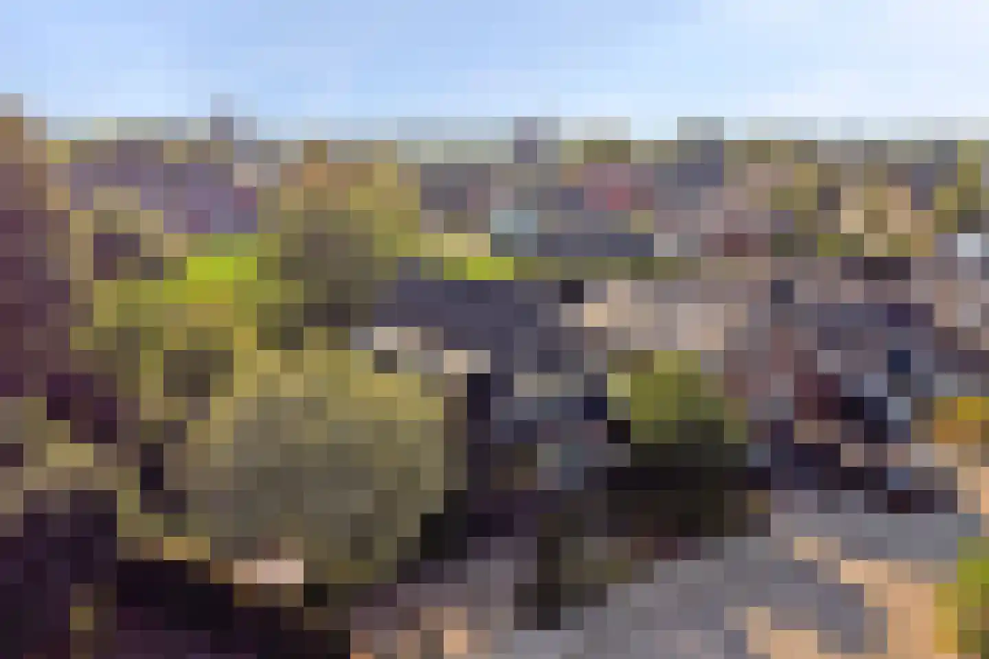 Kennedysingel 6 Winssen thumbnail 40