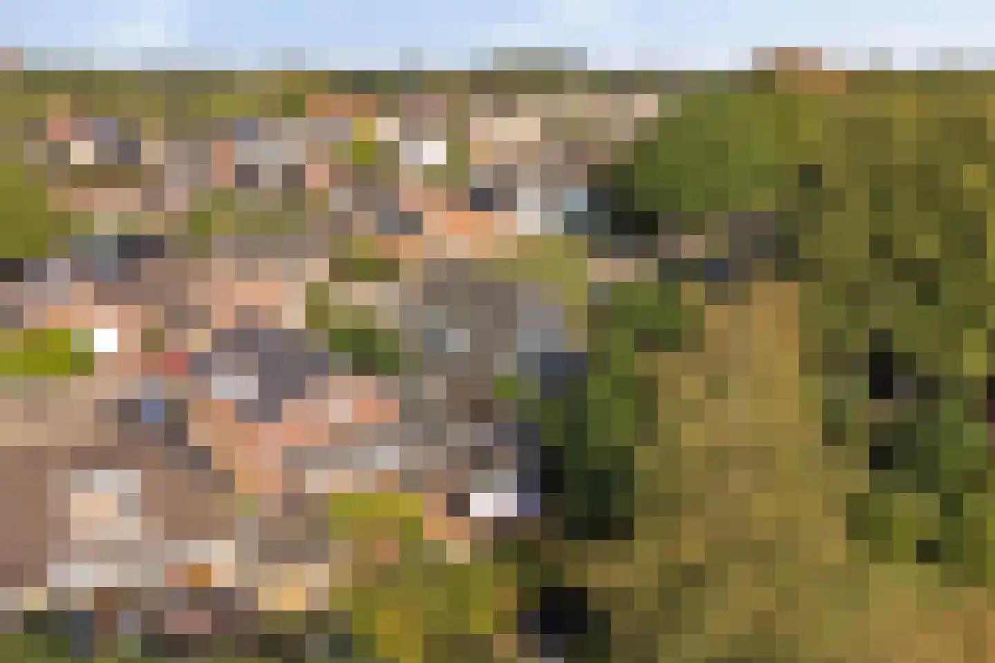 Kennedysingel 6 Winssen thumbnail 42
