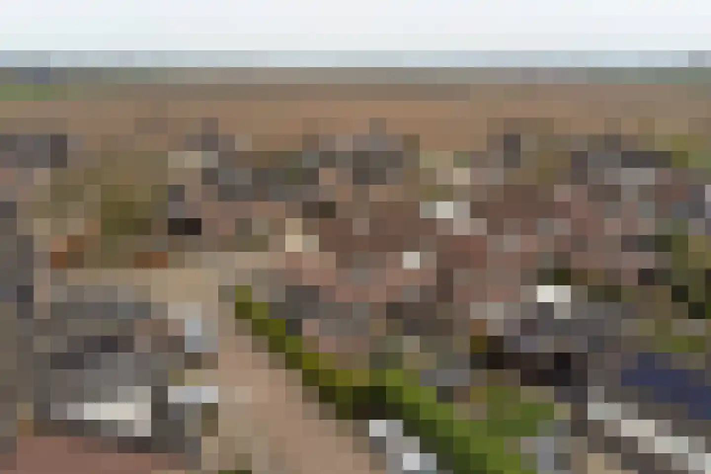 Kennedystraat 1 Millingen aan de Rijn thumbnail 32