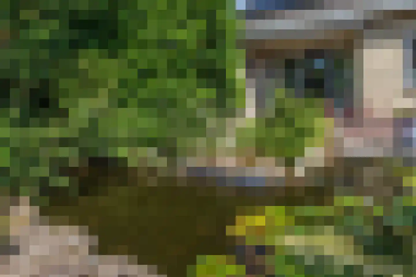 Kennedystraat 10 Veenoord thumbnail 13