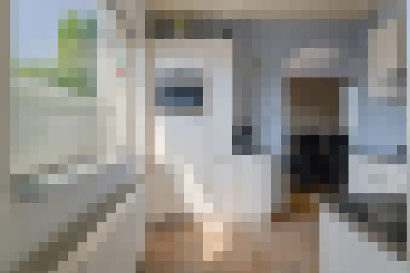 Kennedystraat 10 Veenoord thumbnail 21