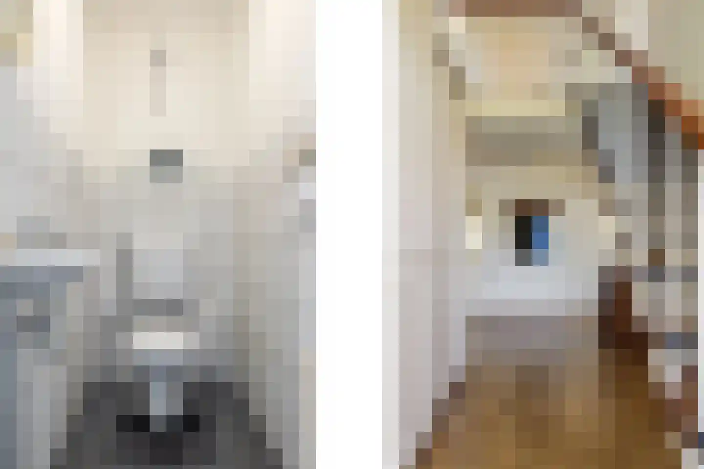 Kennedystraat 10 Veenoord thumbnail 29