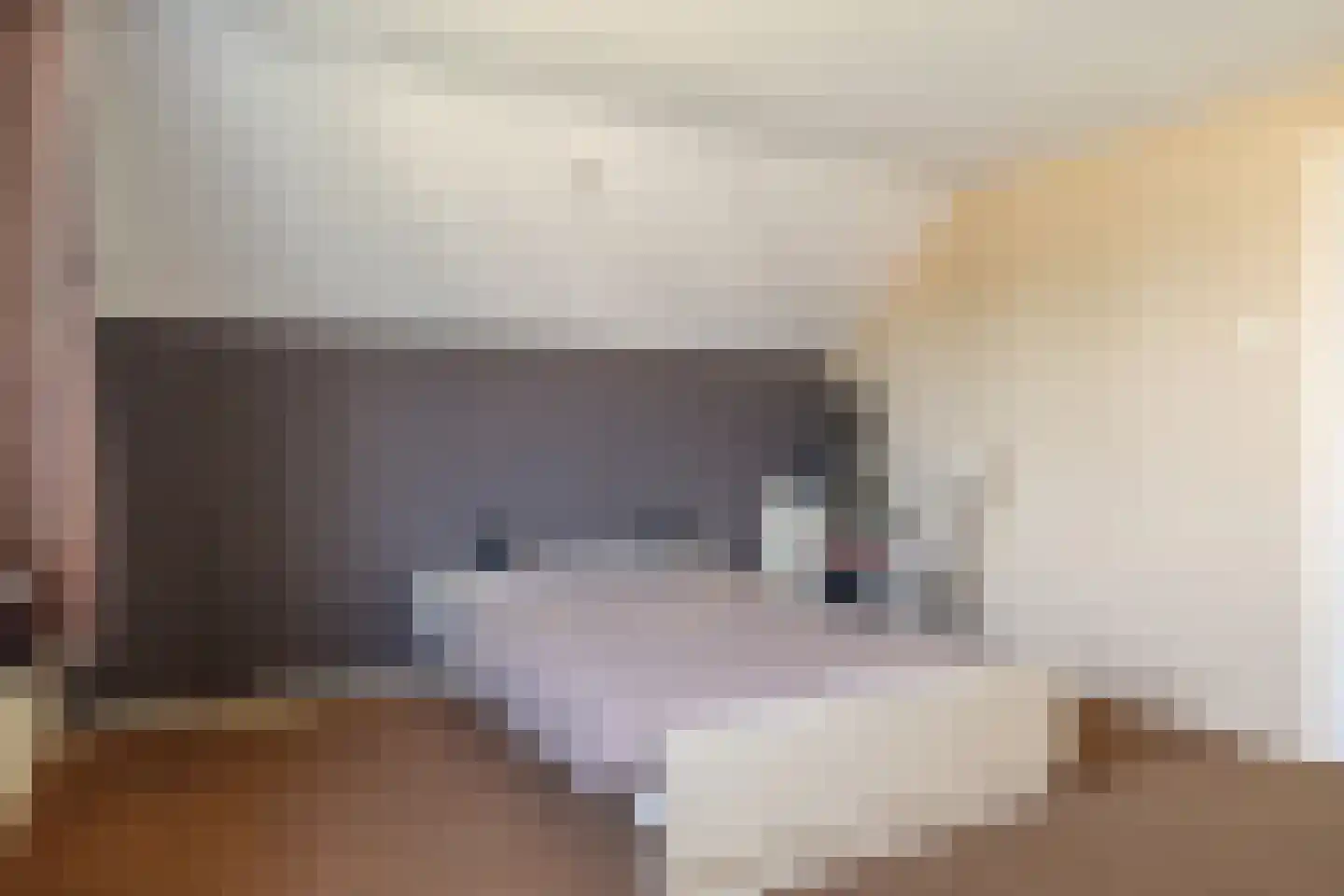 Kennedystraat 10 Veenoord thumbnail 33