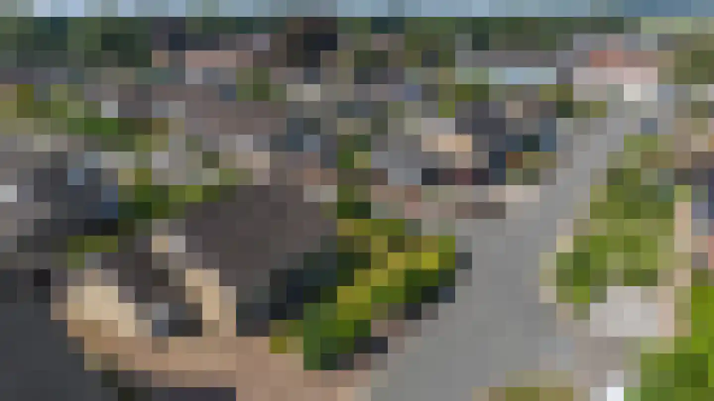 Kennedystraat 10 Veenoord thumbnail 42