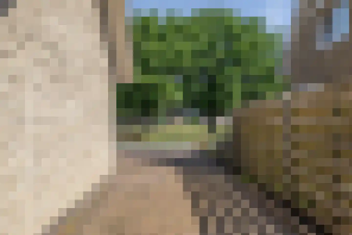 Kennedystraat 10 Veenoord thumbnail 6