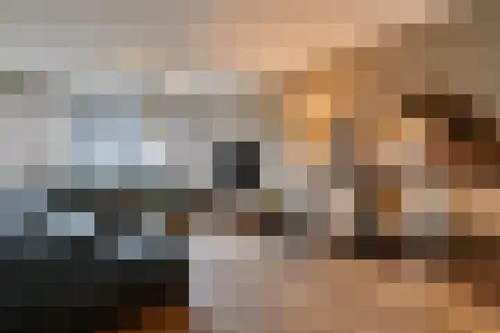 Kennedystraat 11 Heel thumbnail 10