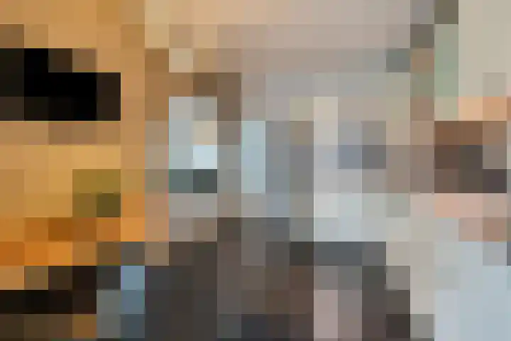 Kennedystraat 11 Heel thumbnail 17