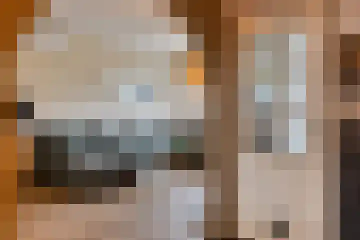 Kennedystraat 11 Heel thumbnail 18
