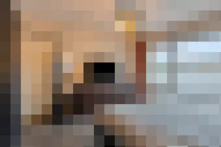 Kennedystraat 11 Heel thumbnail 21