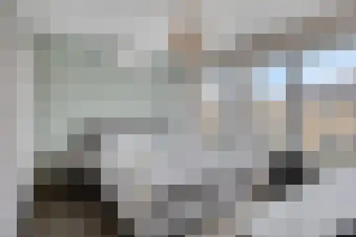 Kennedystraat 11 Heel thumbnail 22