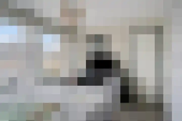 Kennedystraat 11 Heel thumbnail 23