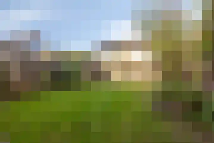 Kennedystraat 11 Heel thumbnail 31