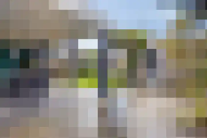 Kennedystraat 11 Heel thumbnail 32