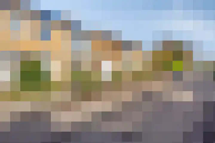Kennedystraat 11 Heel thumbnail 34