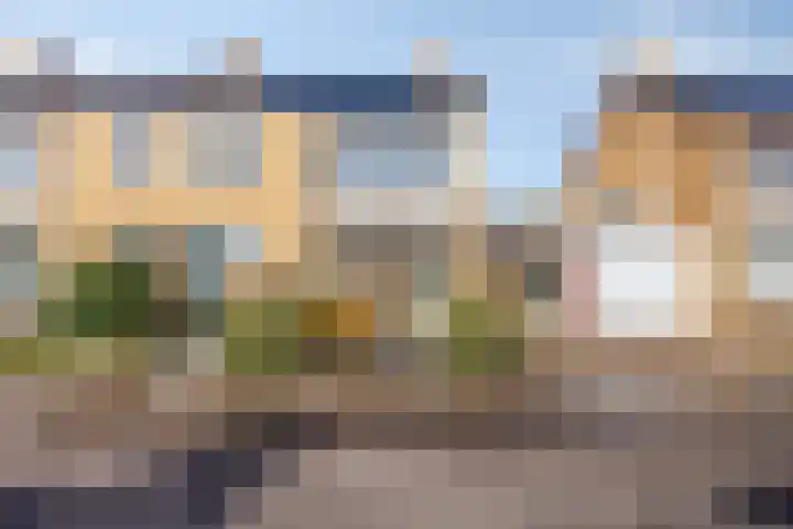 Kennedystraat 11 Heel thumbnail 4
