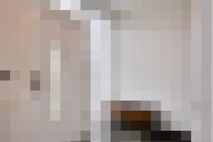 Kennedystraat 11 Heel thumbnail 5