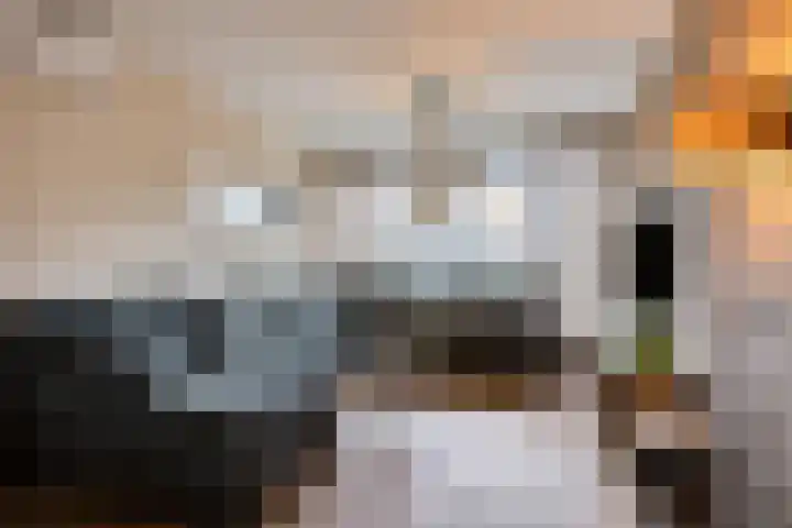 Kennedystraat 11 Heel thumbnail 9
