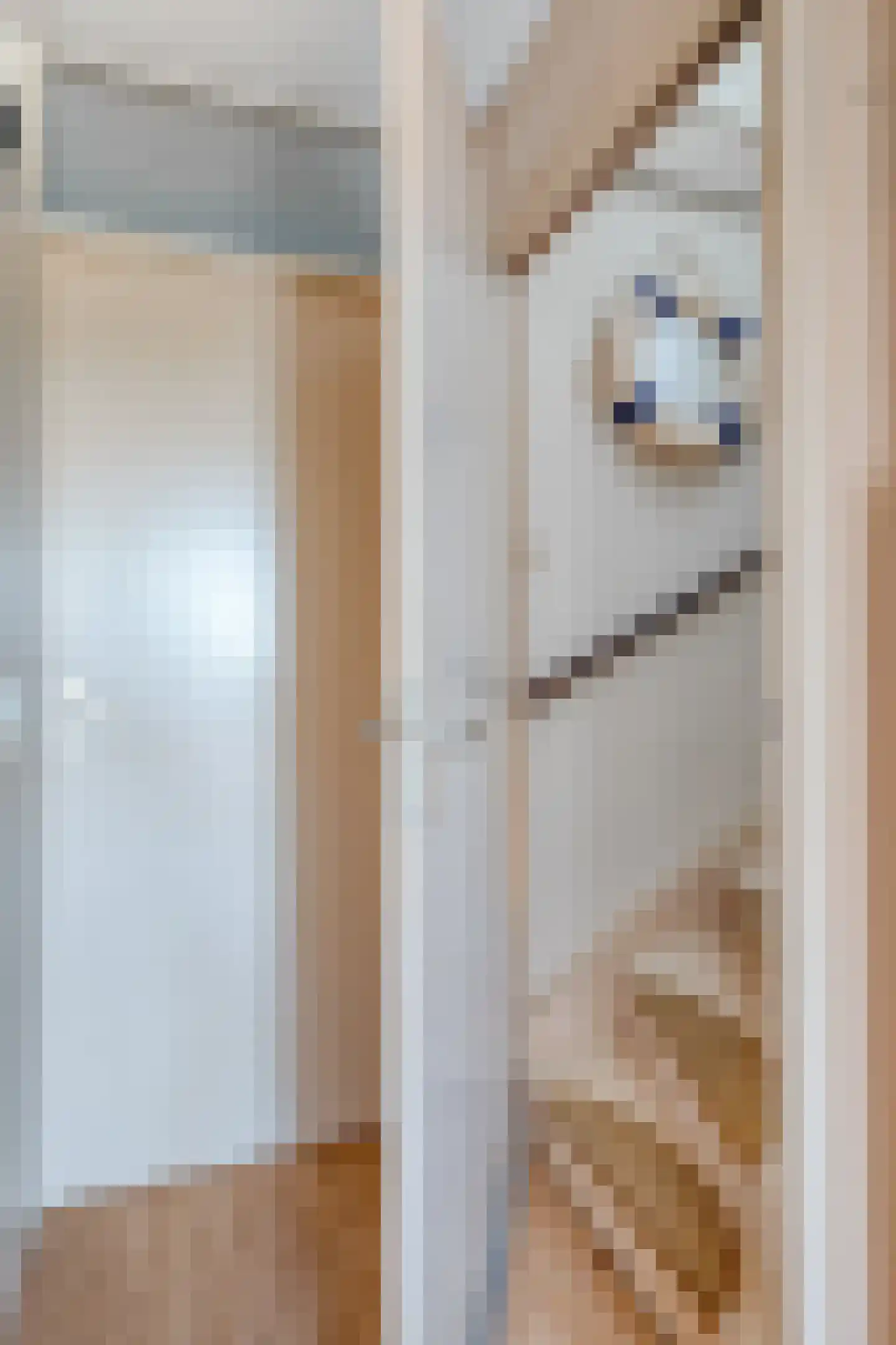 Kennedystraat 14 Duiven thumbnail 21