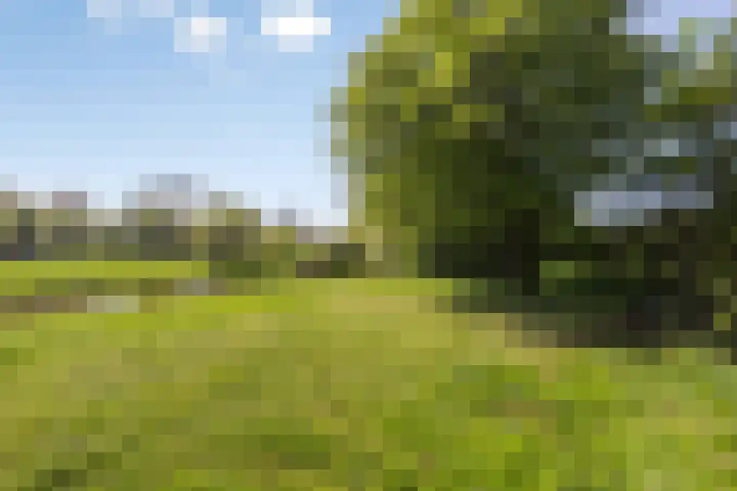 Kennedystraat 14 Duiven thumbnail 43