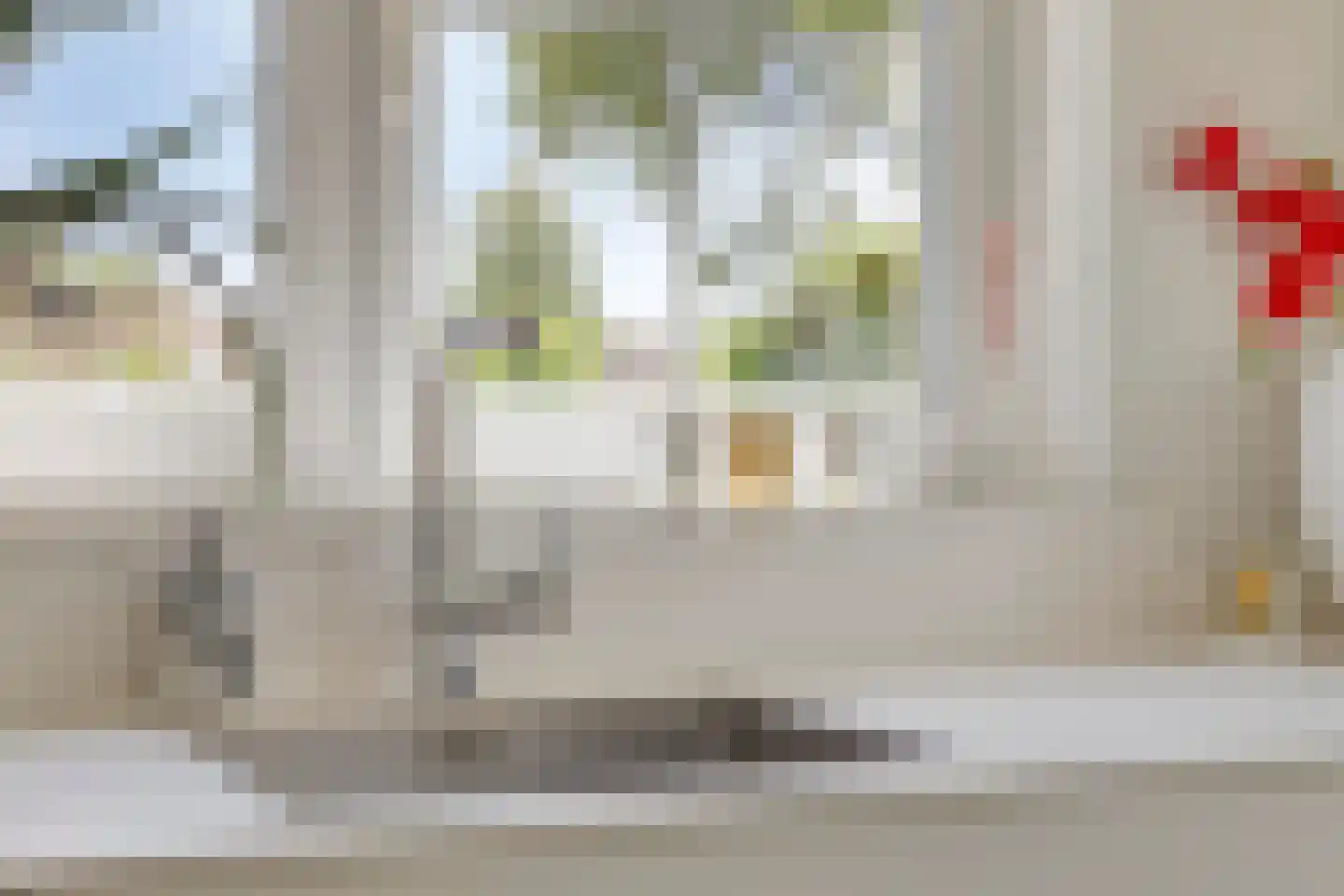 Kennedystraat 15 Sas van Gent thumbnail 28
