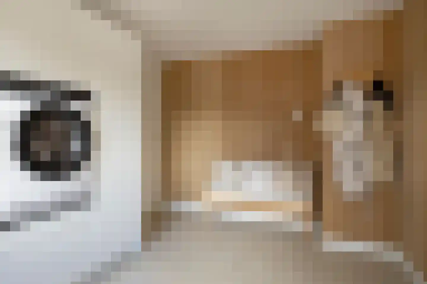 Kennedystraat 15 Sas van Gent thumbnail 31