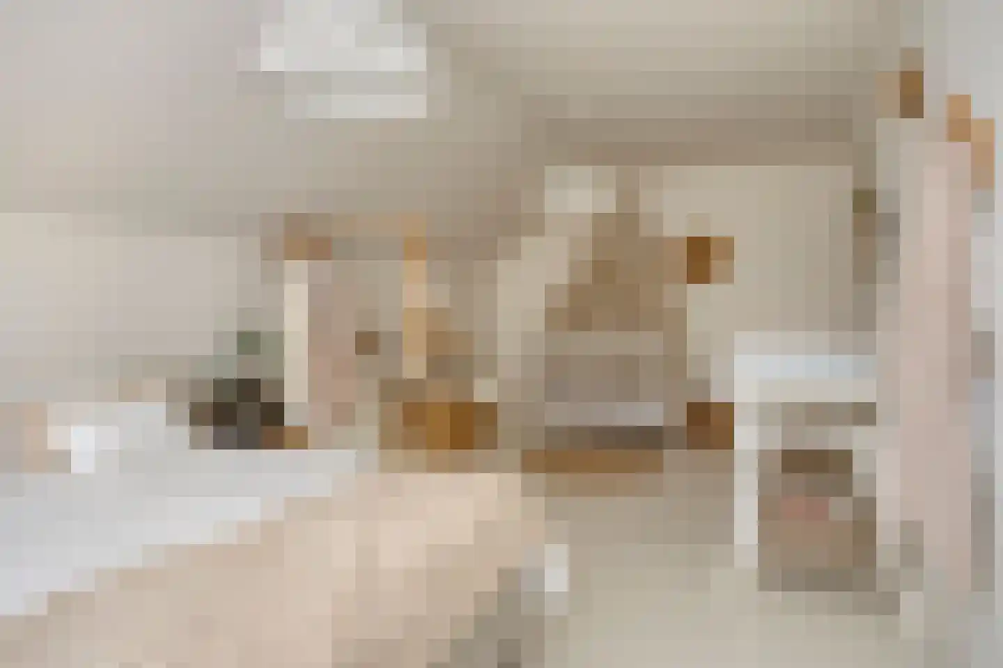 Kennedystraat 15 Sas van Gent thumbnail 34
