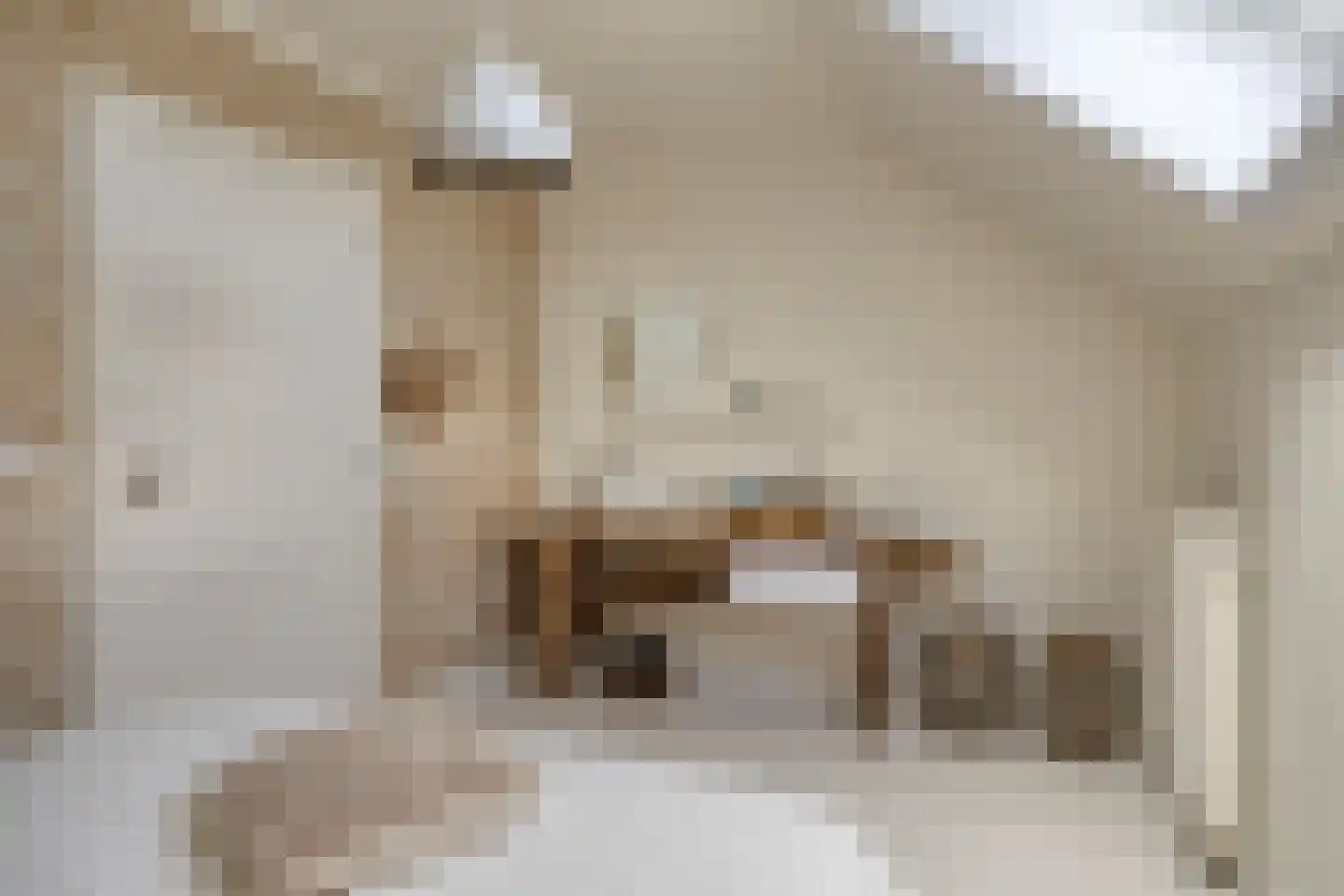 Kennedystraat 15 Sas van Gent thumbnail 36