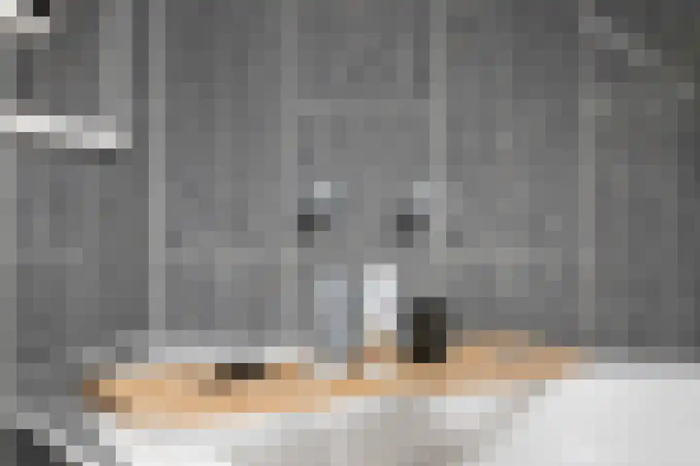 Kennedystraat 15 Sas van Gent thumbnail 41