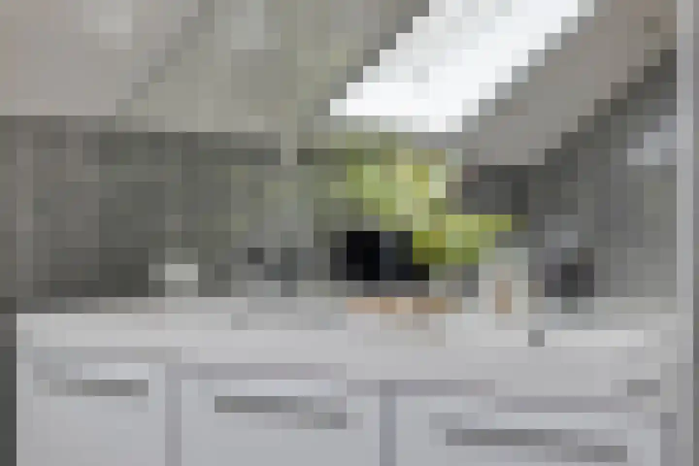 Kennedystraat 15 Sas van Gent thumbnail 42