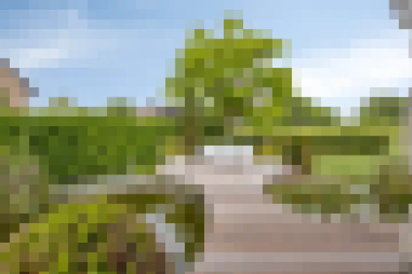 Kennedystraat 15 Sas van Gent thumbnail 52