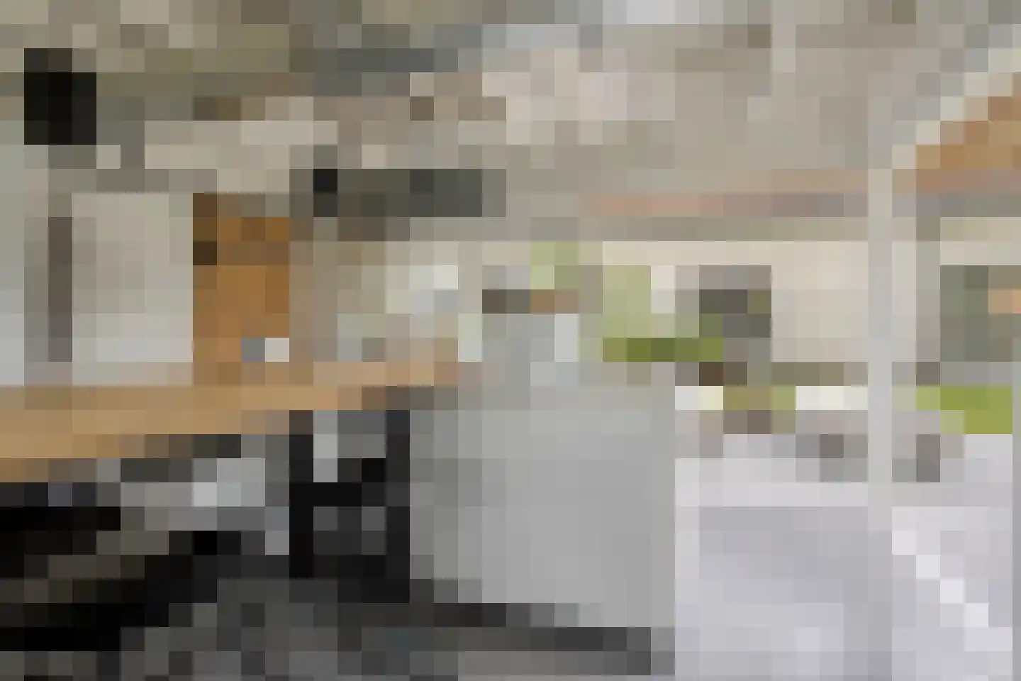 Kennedystraat 15 Sas van Gent thumbnail 60