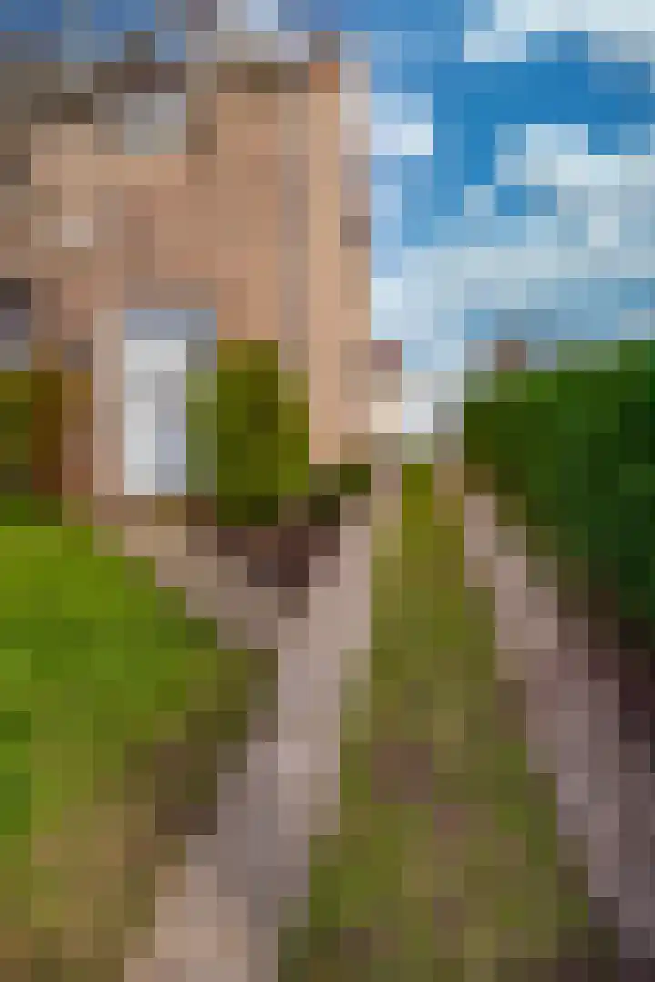 Kennedystraat 15 Ulestraten thumbnail 34