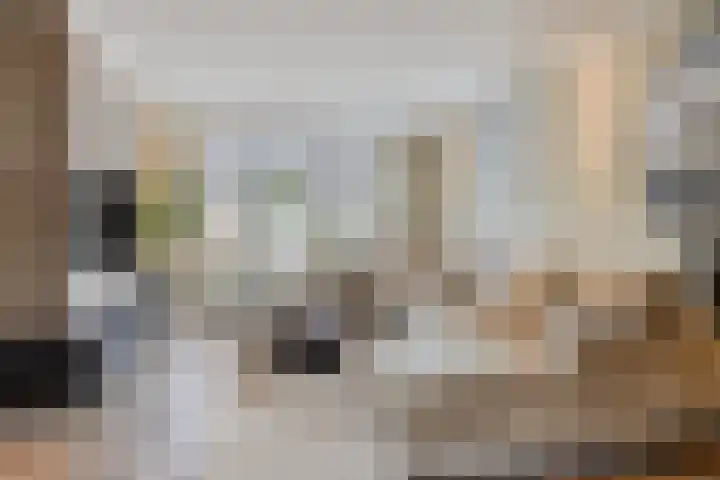 Kennedystraat 2 Berlicum thumbnail 11
