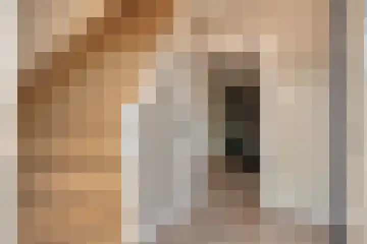Kennedystraat 2 Berlicum thumbnail 5