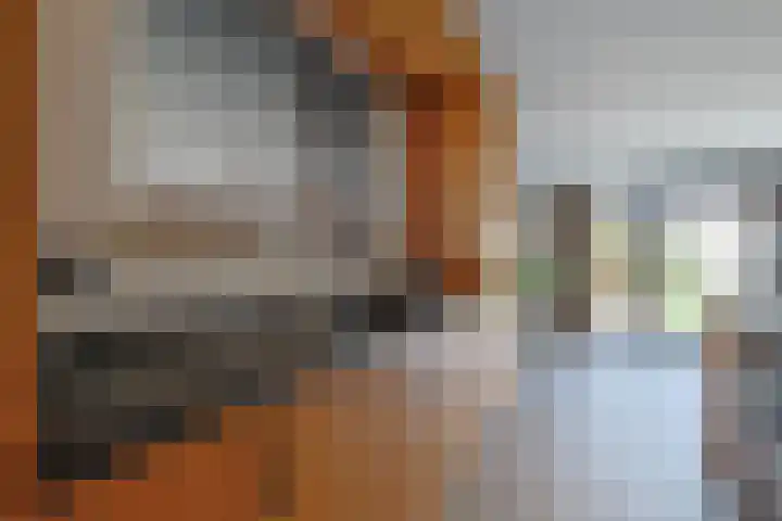 Kennedystraat 22 Liempde thumbnail 6