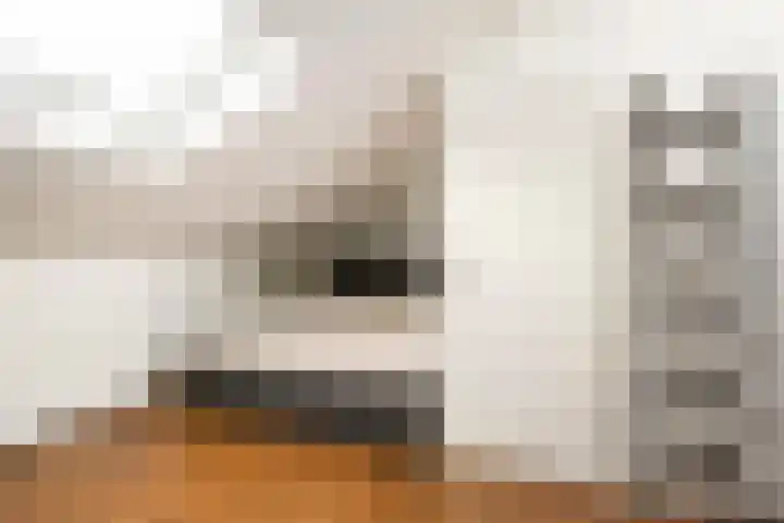 Kennedystraat 24 Duiven thumbnail 24