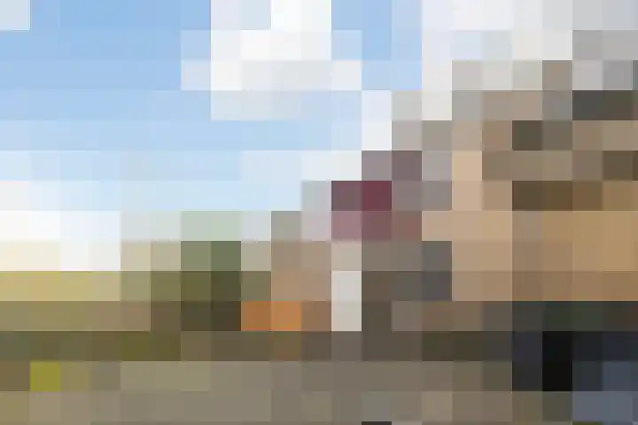 Kennedystraat 24 Duiven thumbnail 31