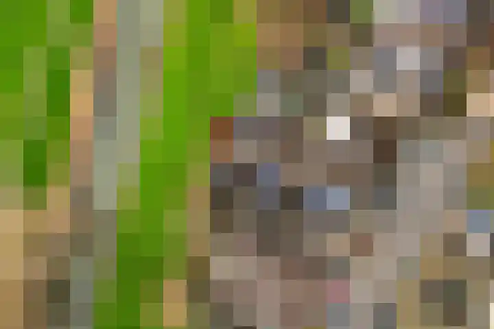 Kennedystraat 24 Duiven thumbnail 34