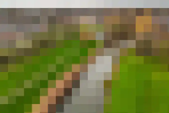Kennedystraat 24 Duiven thumbnail 35