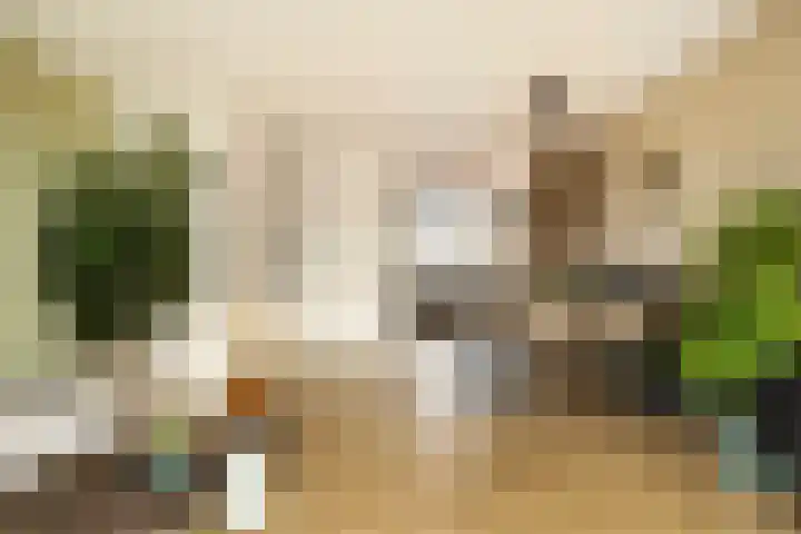 Kennedystraat 24 Duiven thumbnail 4