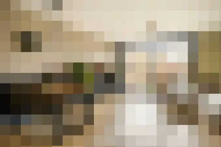 Kennedystraat 24 Duiven thumbnail 5