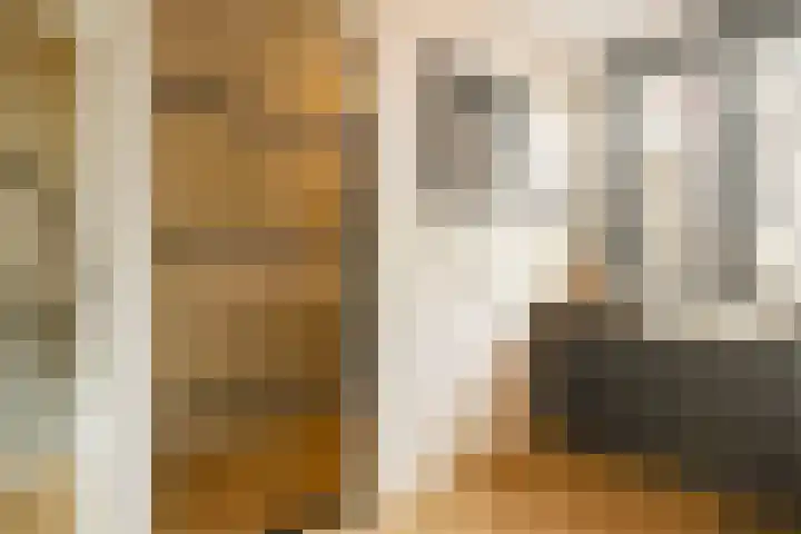 Kennedystraat 24 Duiven thumbnail 9