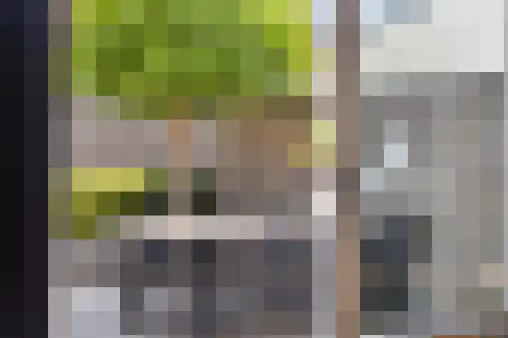 Kennedystraat 25 Ulestraten thumbnail 15
