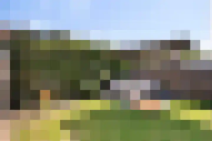 Kennedystraat 25 Ulestraten thumbnail 18
